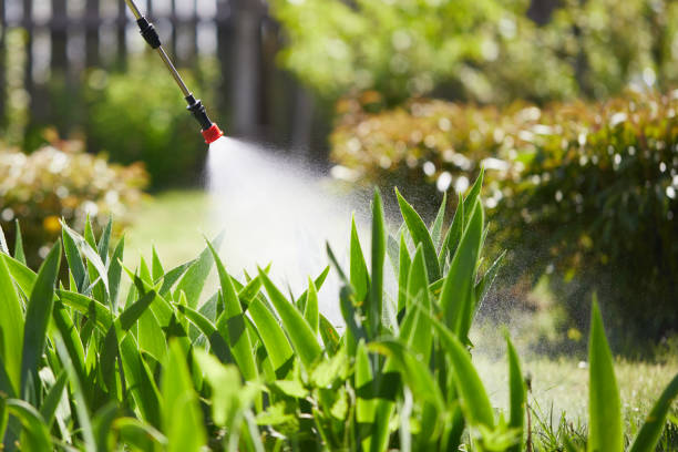 Tamper-Resistant Bait Stations for Rodents in East Lake-Orient Park