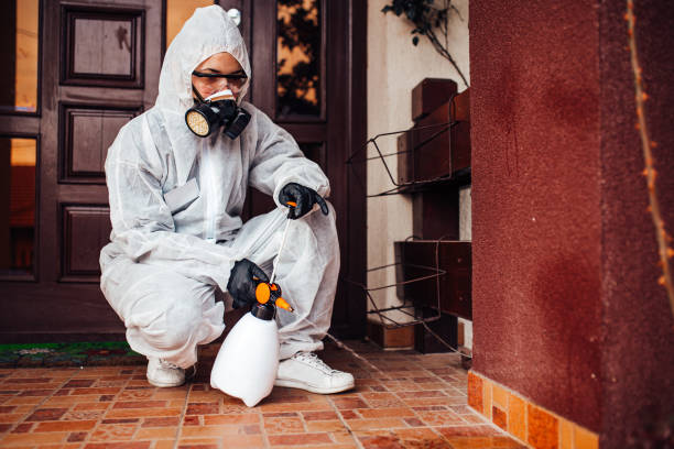 Attic and Crawl Space Rodent Treatment in East Lake-Orient Park